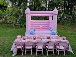 20240529 195122 1721073645 pink toddler bouncer