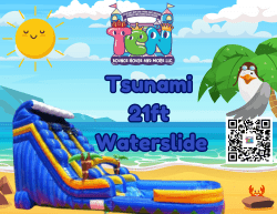 waterslide 21'