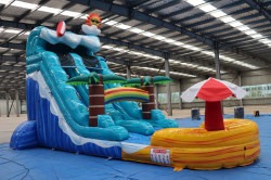 surfer201 1774295409 surf waterslide