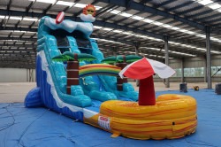 surfer202 1774295409 surf waterslide